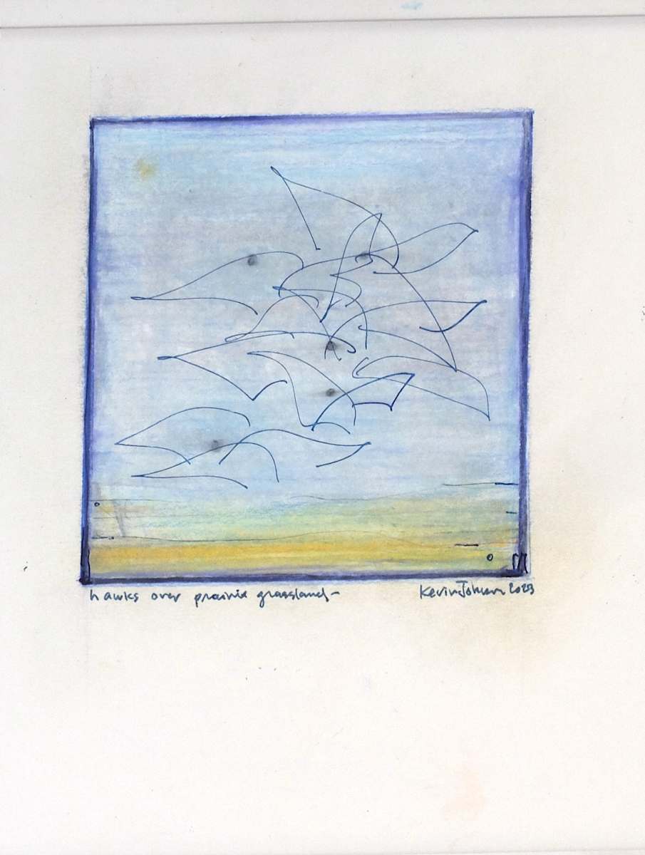 hawks over prairie grassland by Kevin Johnson, Image 1.