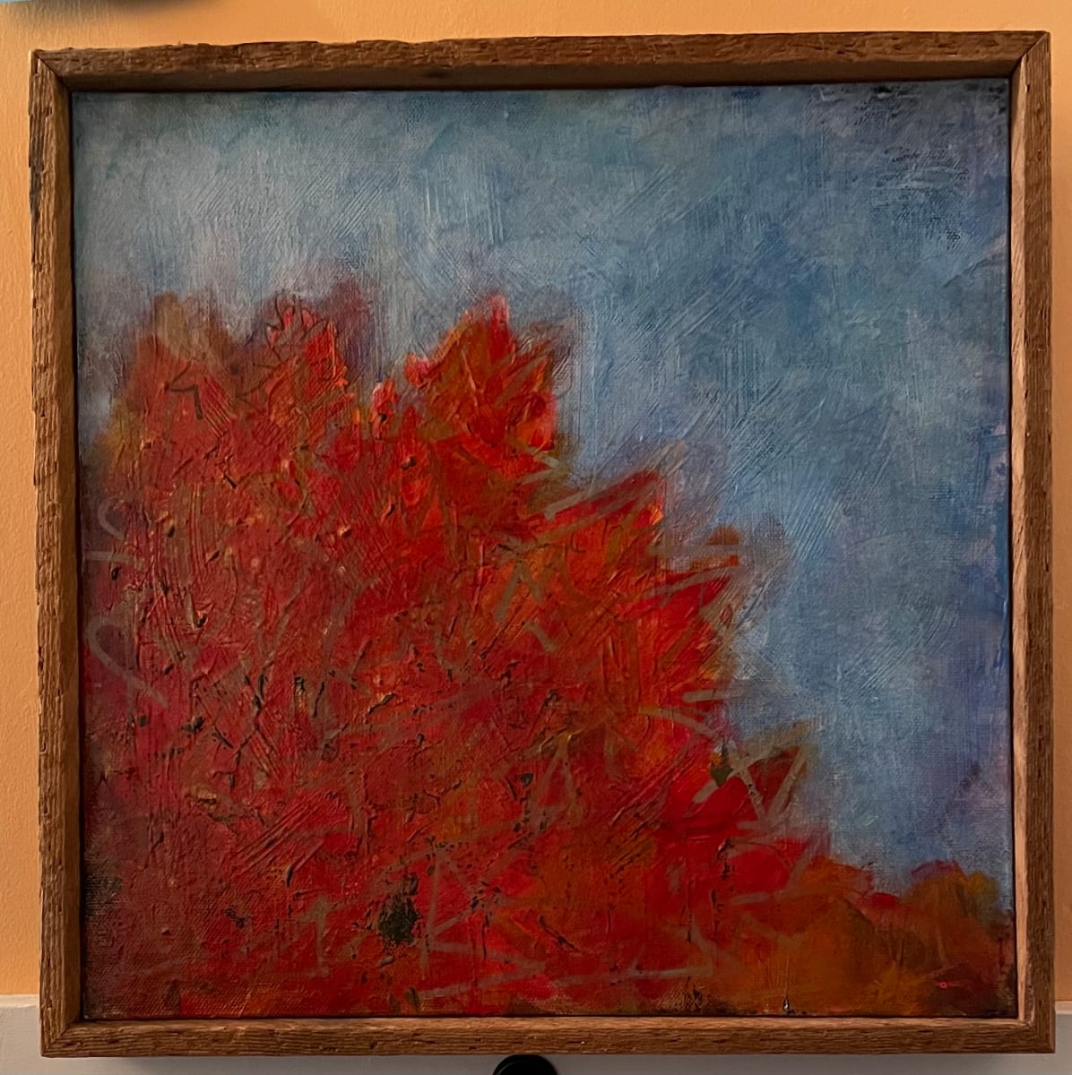 Fall color, look up by Kevin Johnson 