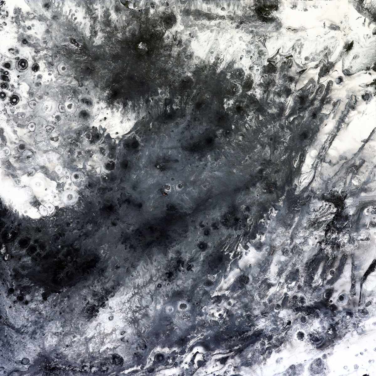 Tumult by Joy Brenner 