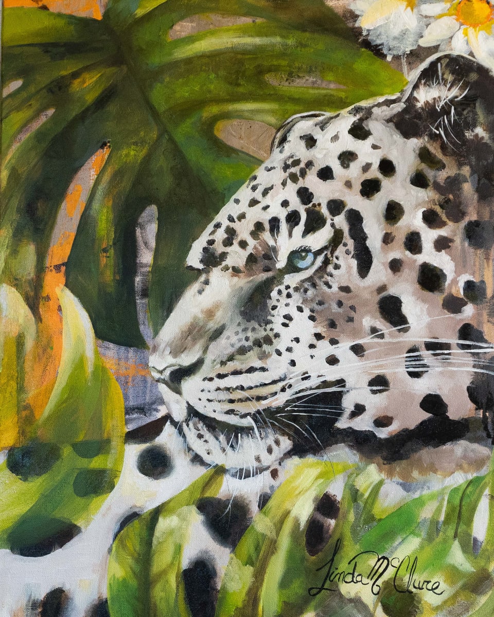 leopard_rubiho_2 by Linda McClure 