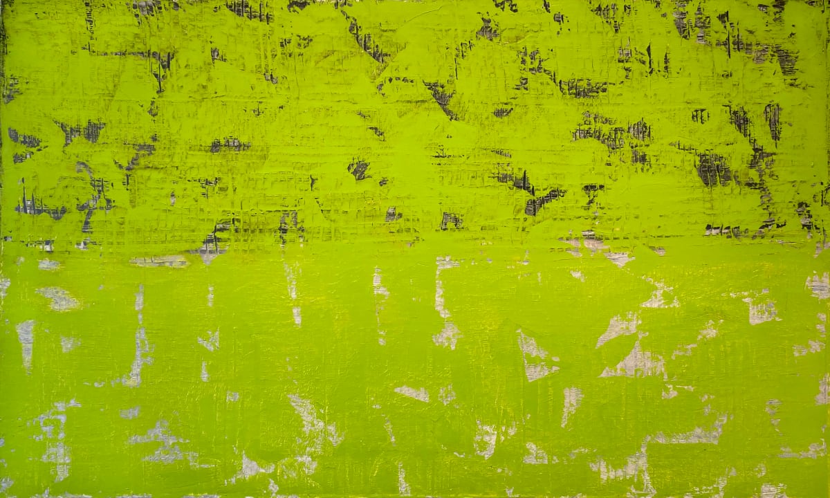 Revolution by Francie Lyshak 