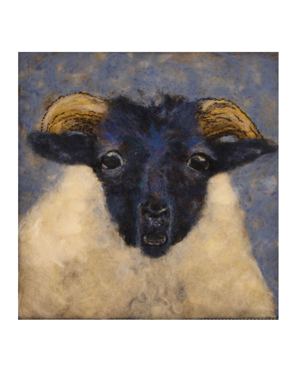 Blue Faced Lamb by Michelle Moats 