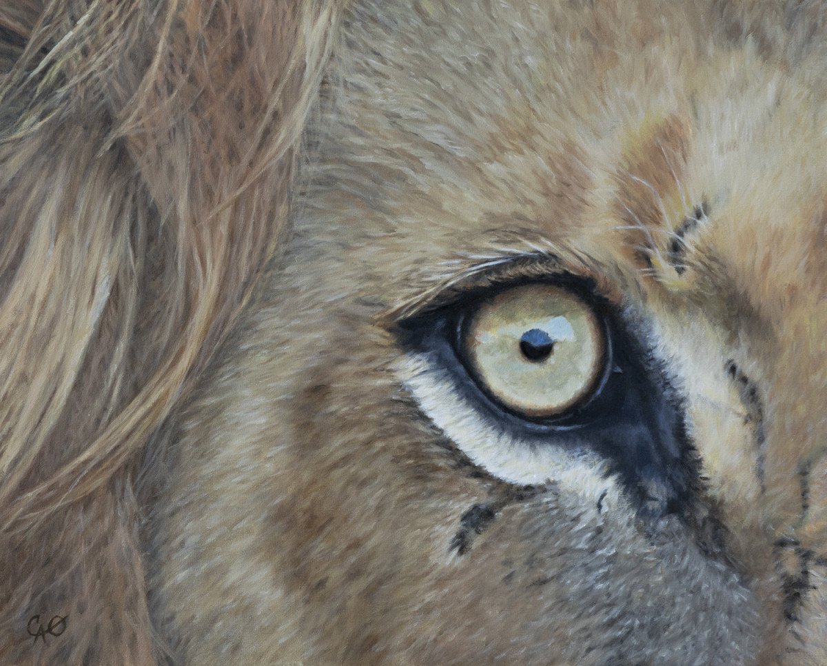 Lion's Eye by Christine O'Brien 