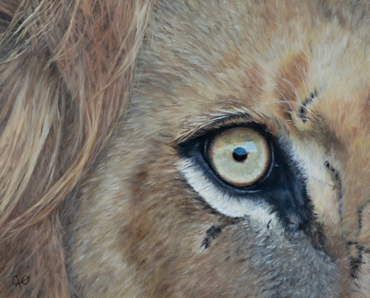 Lion's Eye by Christine O'Brien, Image 1.