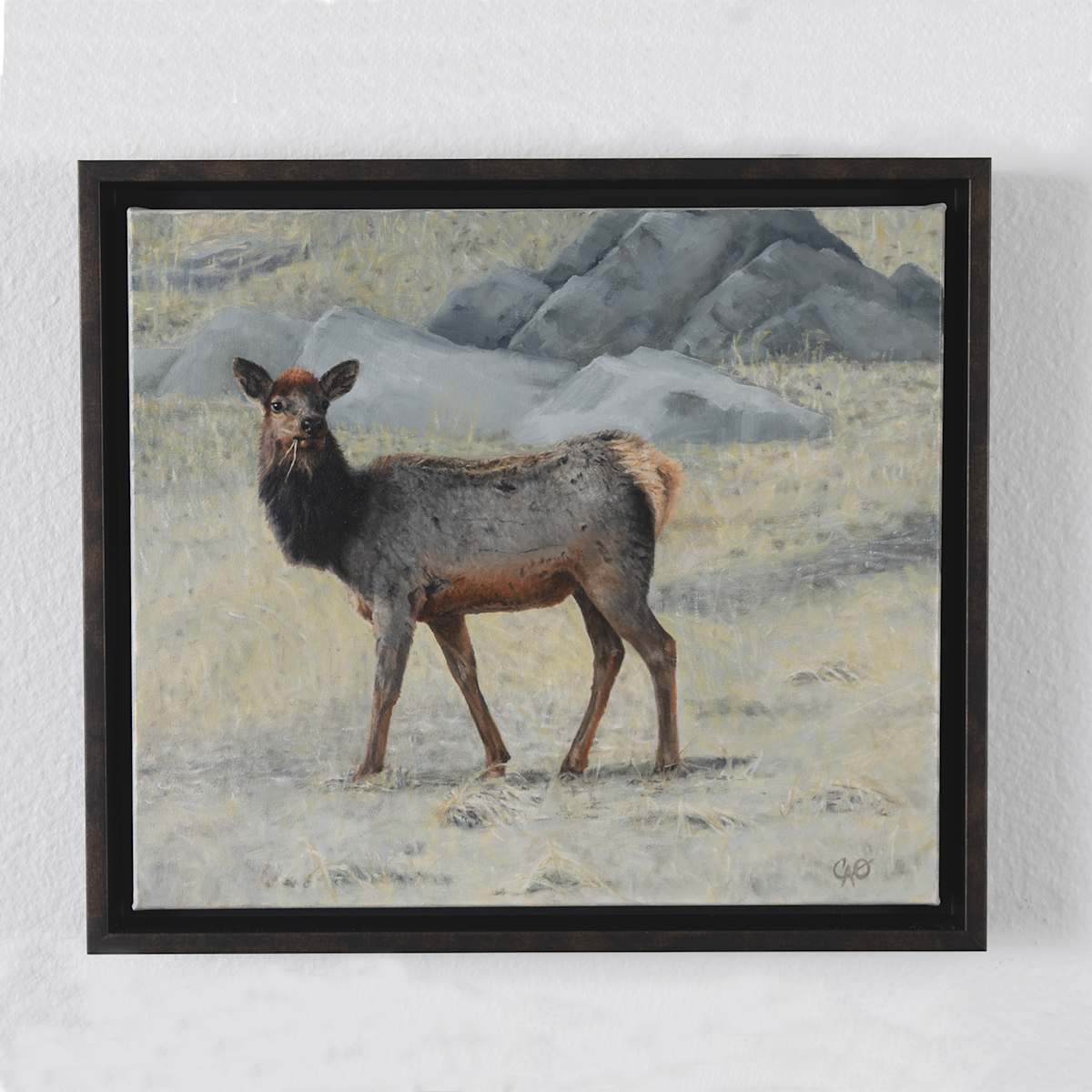 Soda Creek Elk by Christine O'Brien 