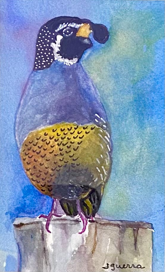 Curious by Jennifer G. Guerra 