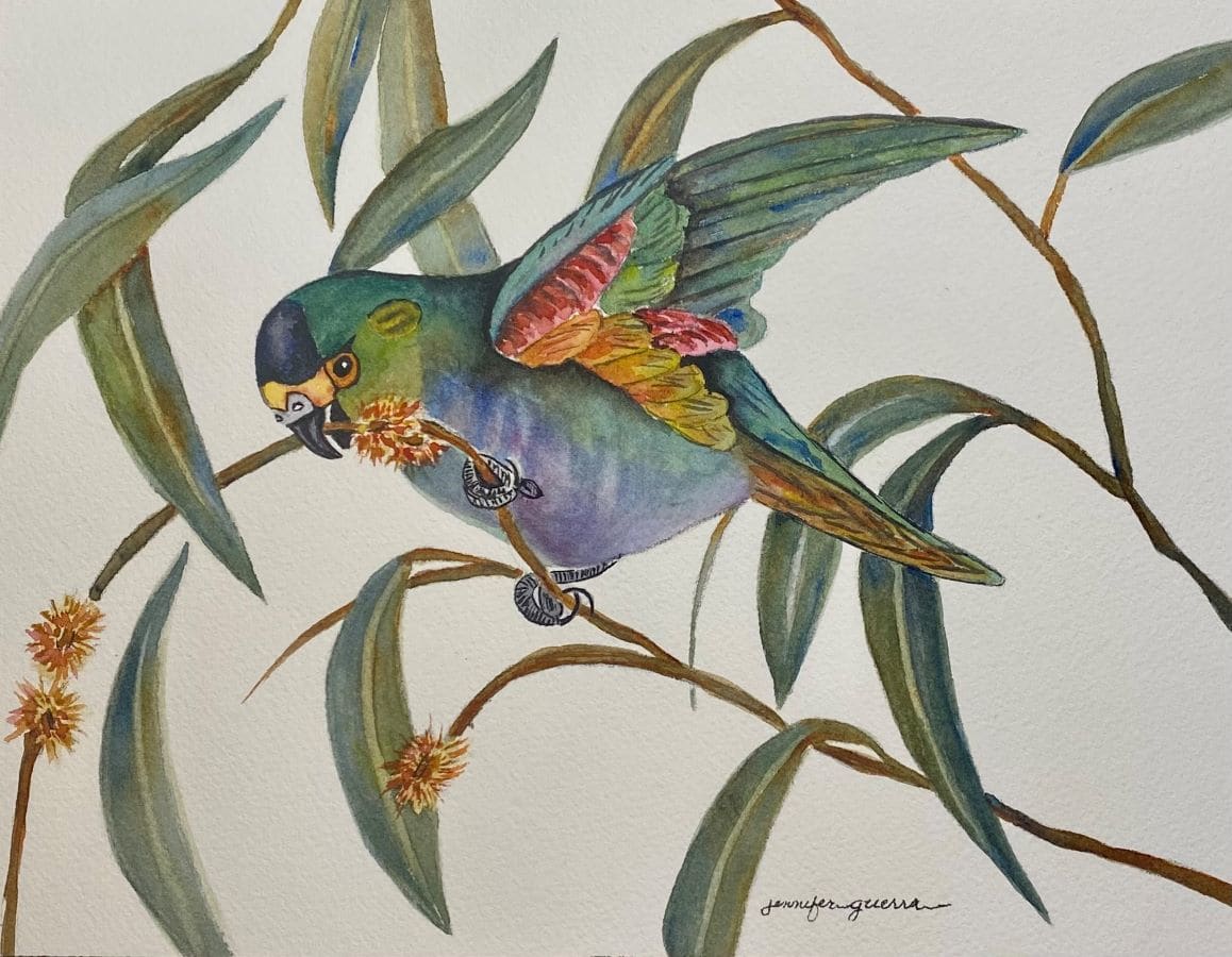 Paradise by Jennifer G. Guerra 