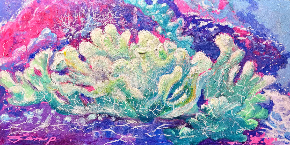 Salt & Light by Glenn Lamp 