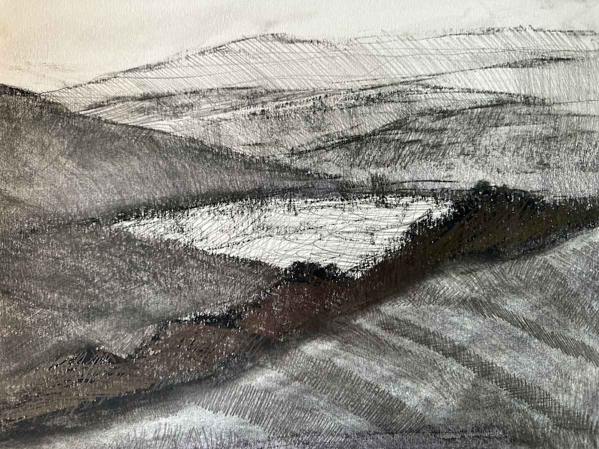 Morning Drawing by Dita Jacobovitz, Image 1.