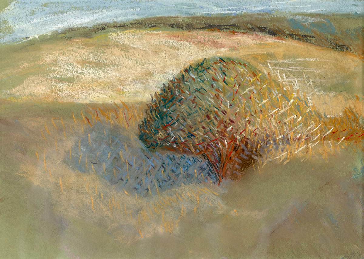 Tree in Pastel by Dita Jacobovitz  Image: Dita Jacobovitz