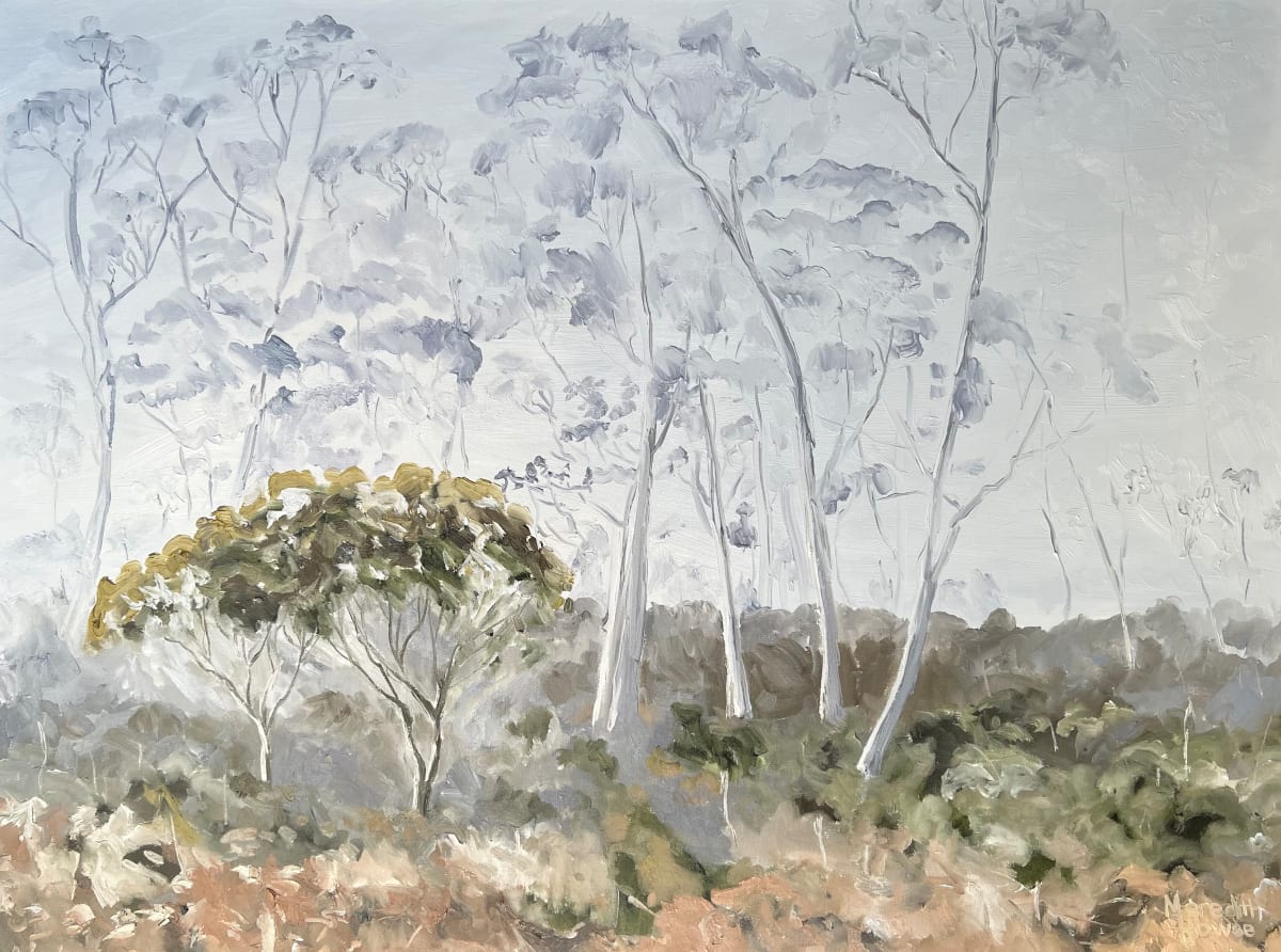 Middlesex Plains of Tasmania by Meredith Howse Art 