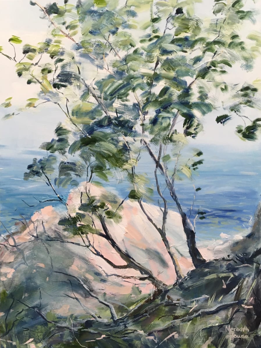 Noosa National Park by Meredith Howse Art 