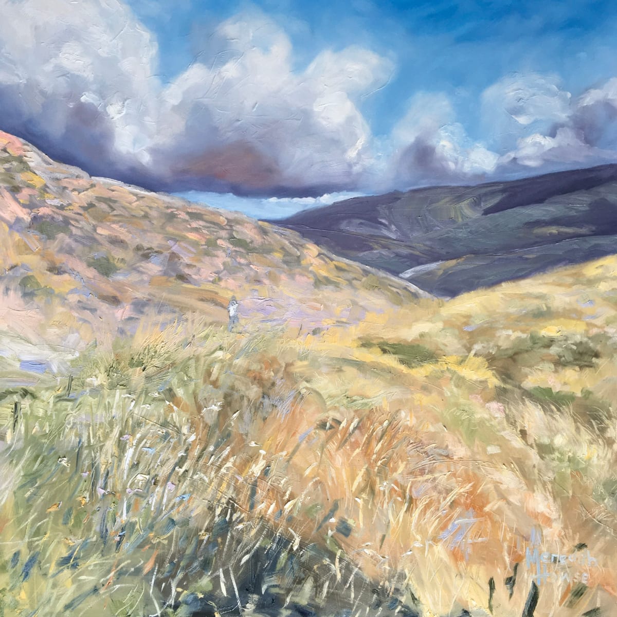 Walk with the Clouds by Meredith Howse Art 
