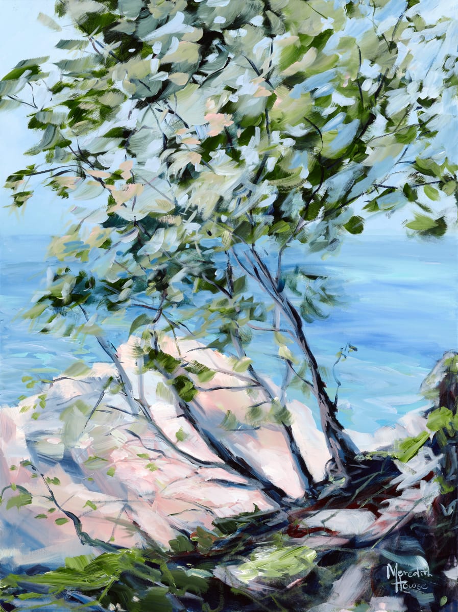 Commission - Noosa National Park. by Meredith Howse Art 