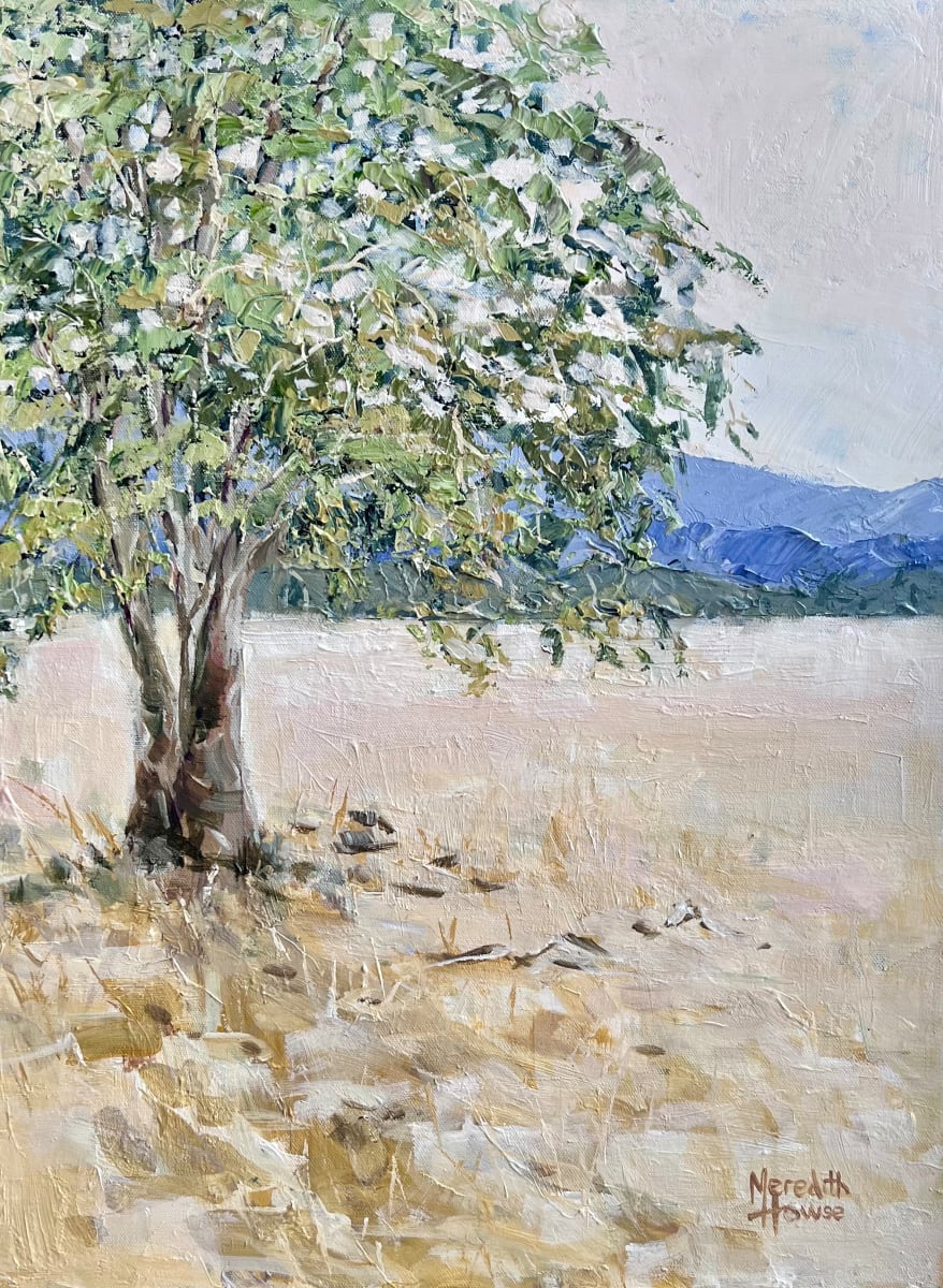 Land of Dust and Grains by Meredith Howse Art 