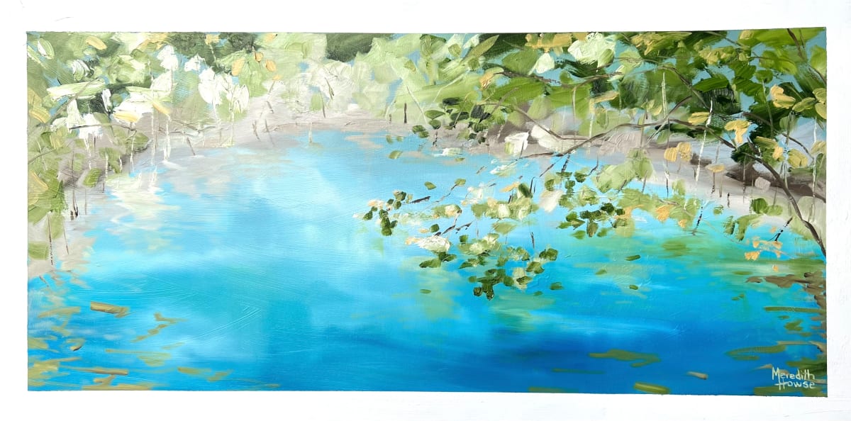 Upper Daintree 10 by Meredith Howse Art 