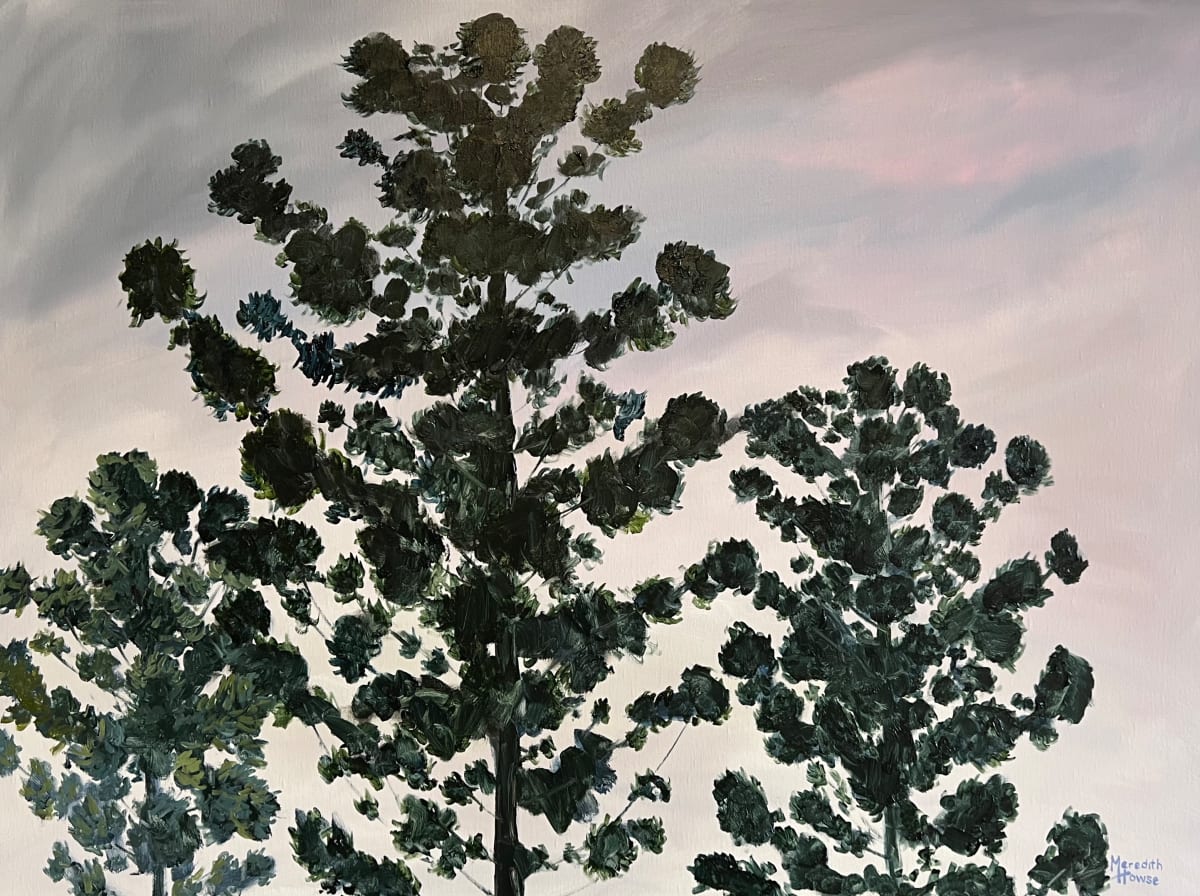 Illumination Bunya Treetops by Meredith Howse Art 
