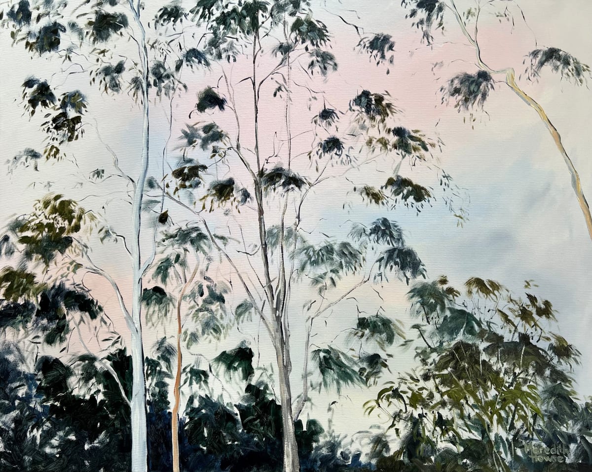 Illumination of White Gum Tree by Meredith Howse Art 