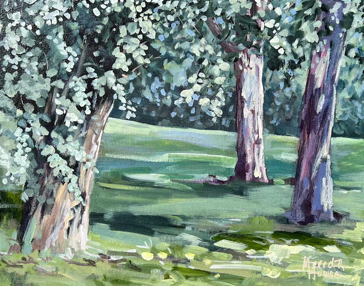 Eucalyptus Trees of Commonwealth Park by Meredith Howse Art 