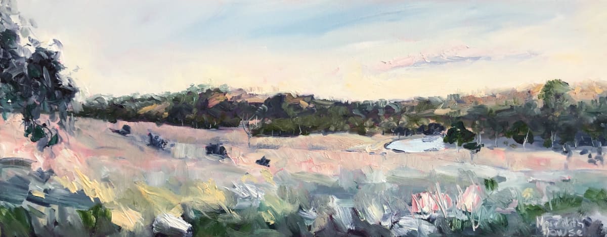 View to Pioneer Park from Coota Hill by Meredith Howse Art 