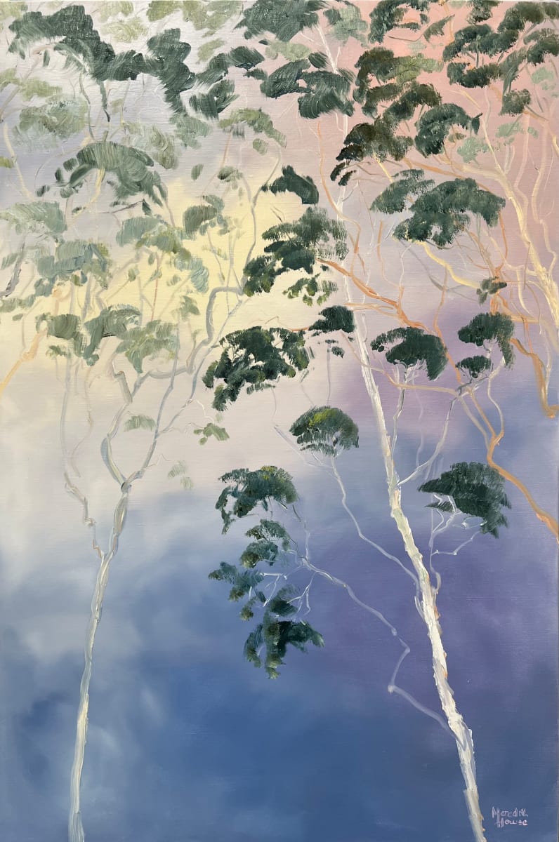 Illumination Towering Trees by Meredith Howse Art 