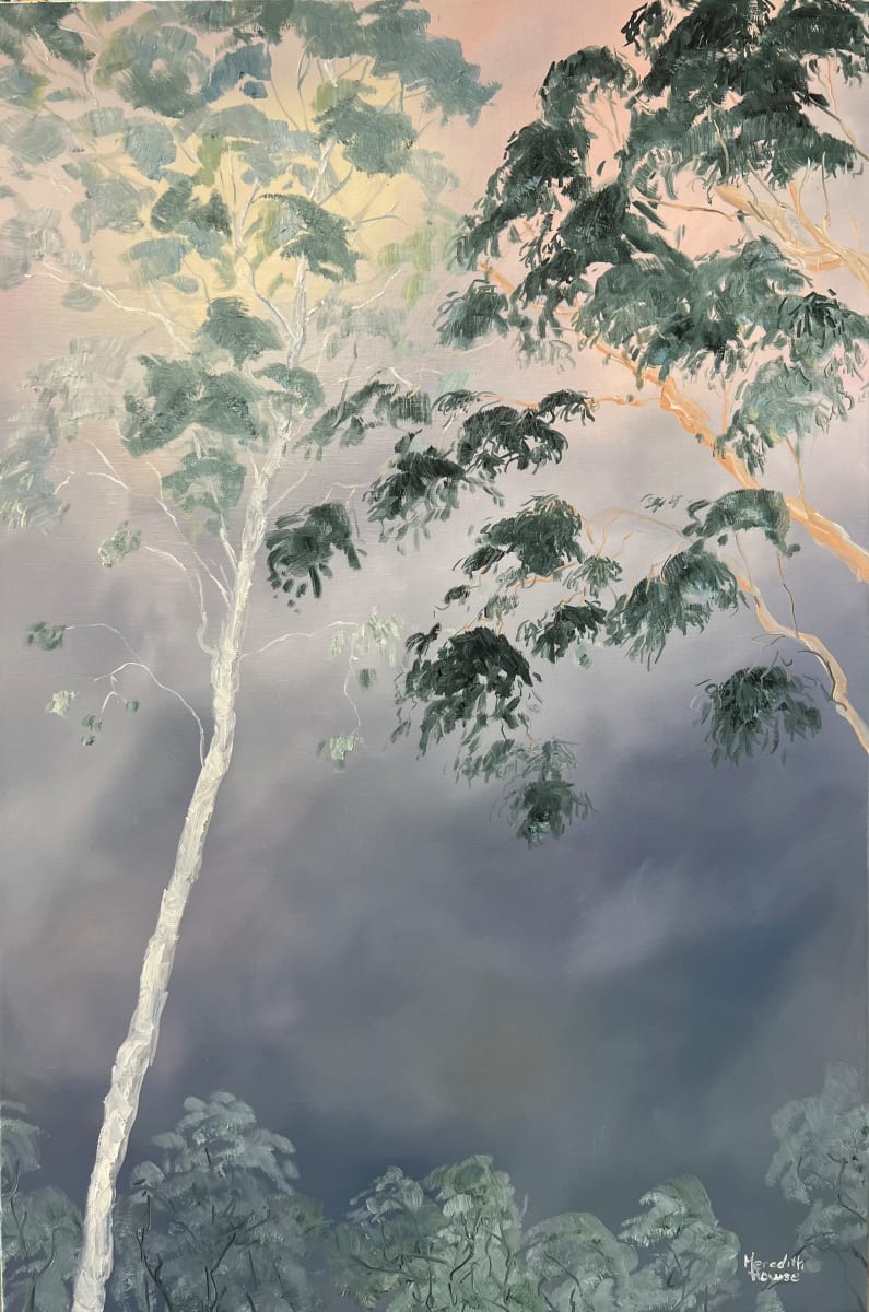 Illumination Eucalyptus in Summer by Meredith Howse Art 