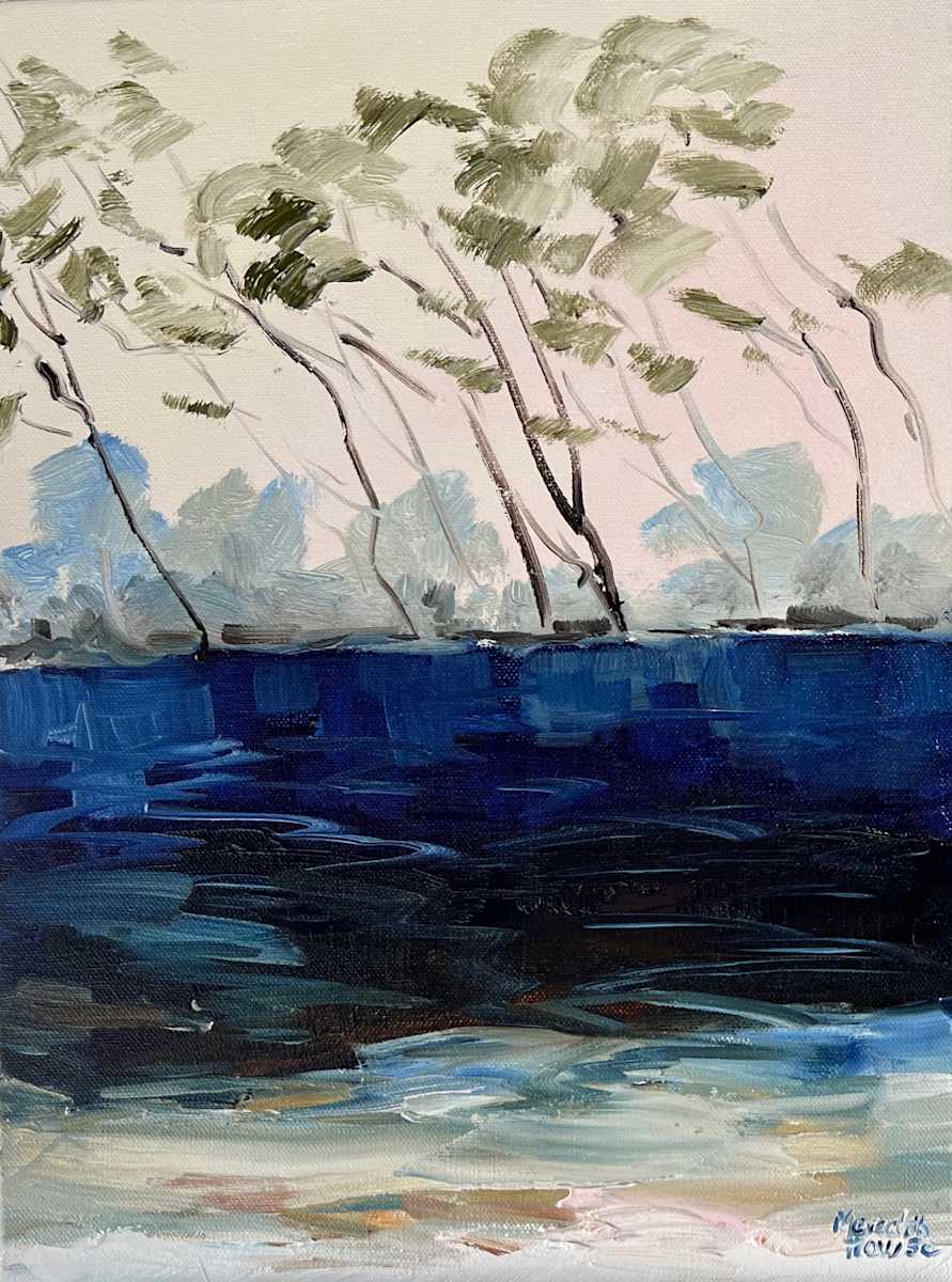 Tea Tree Lake at Stradbroke by Meredith Howse Art, Image 3.