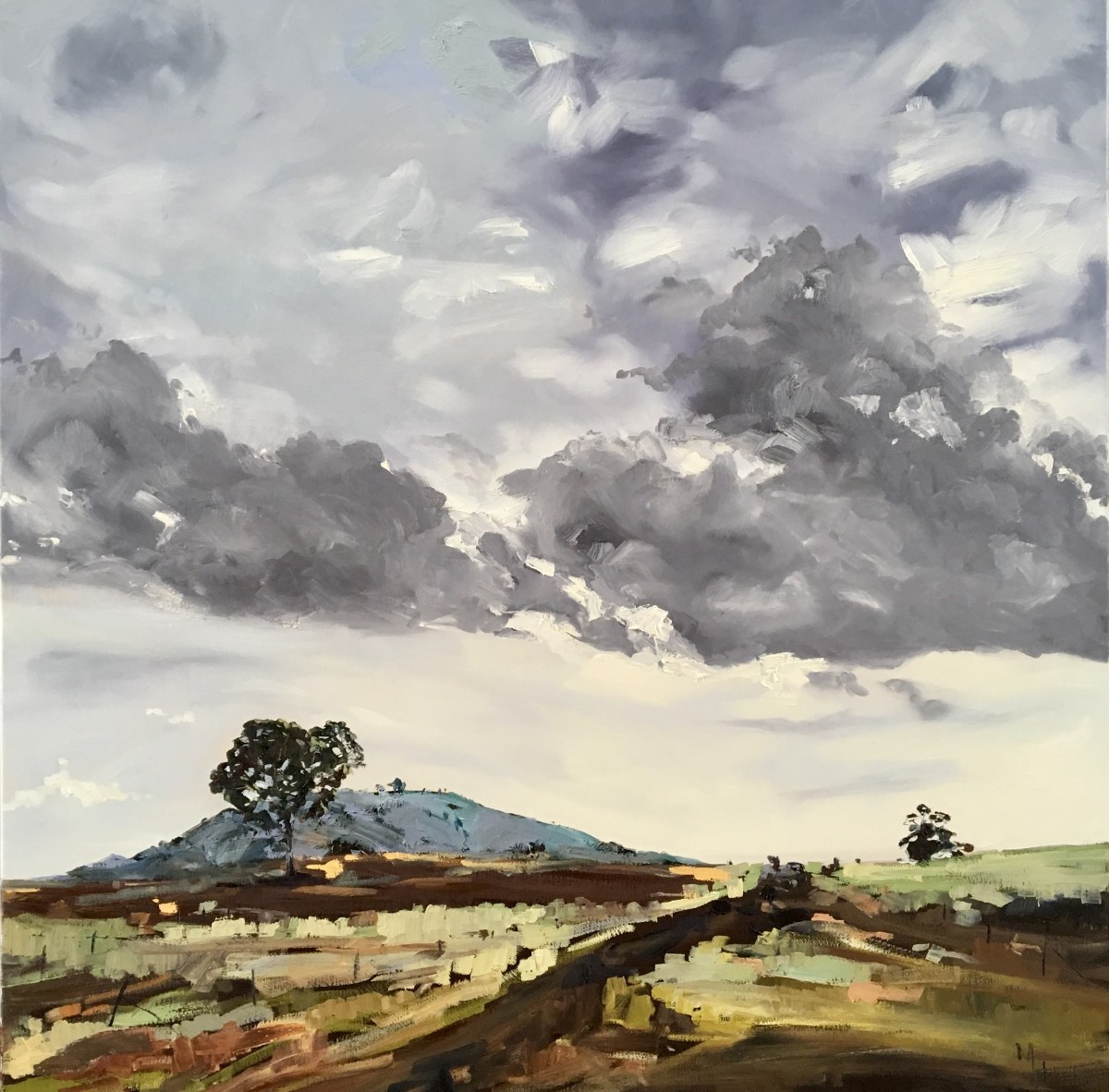 Cootamundra by Meredith Howse Art 