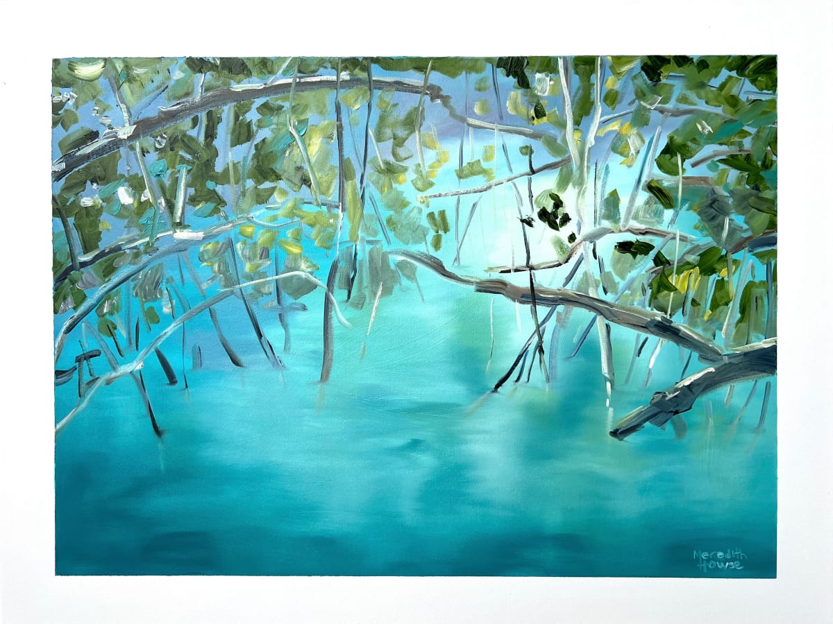 Upper Daintree 2 by Meredith Howse Art 
