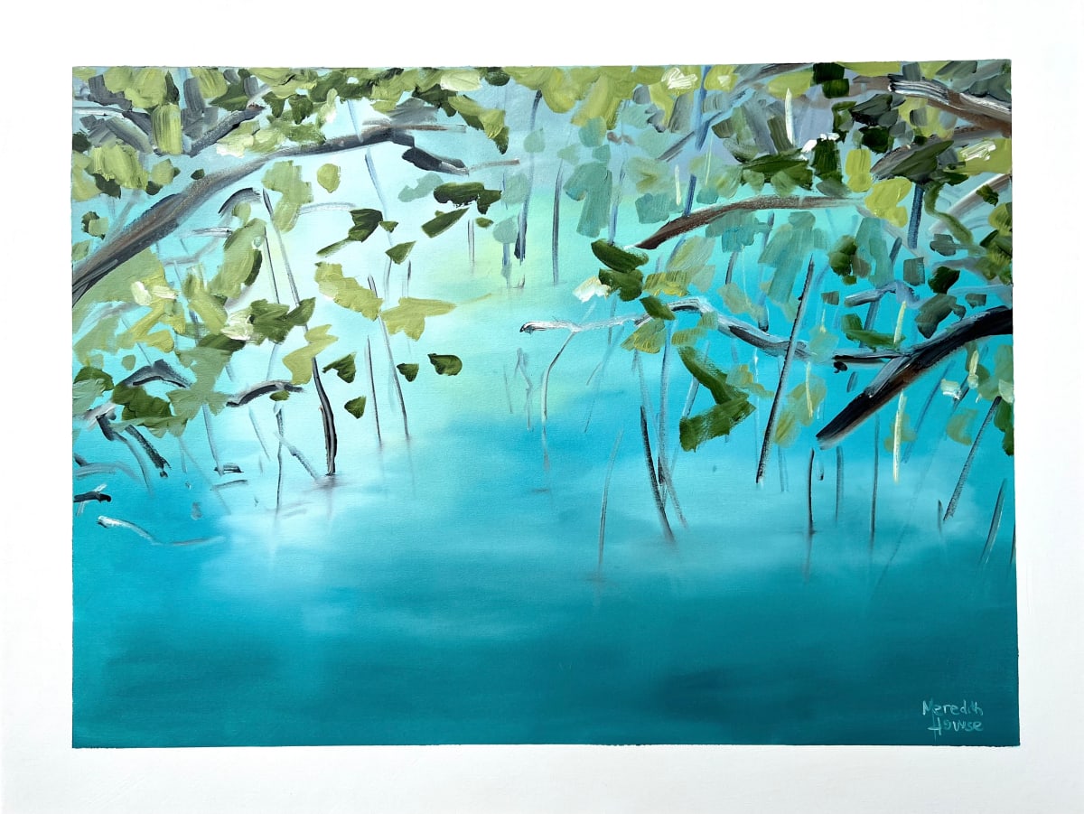 Upper Daintree 1 by Meredith Howse Art 