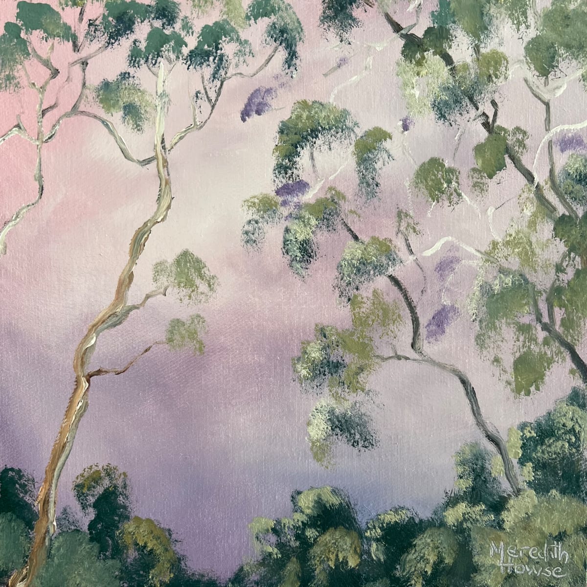 Illumination Ashgrove Gums by Meredith Howse Art 