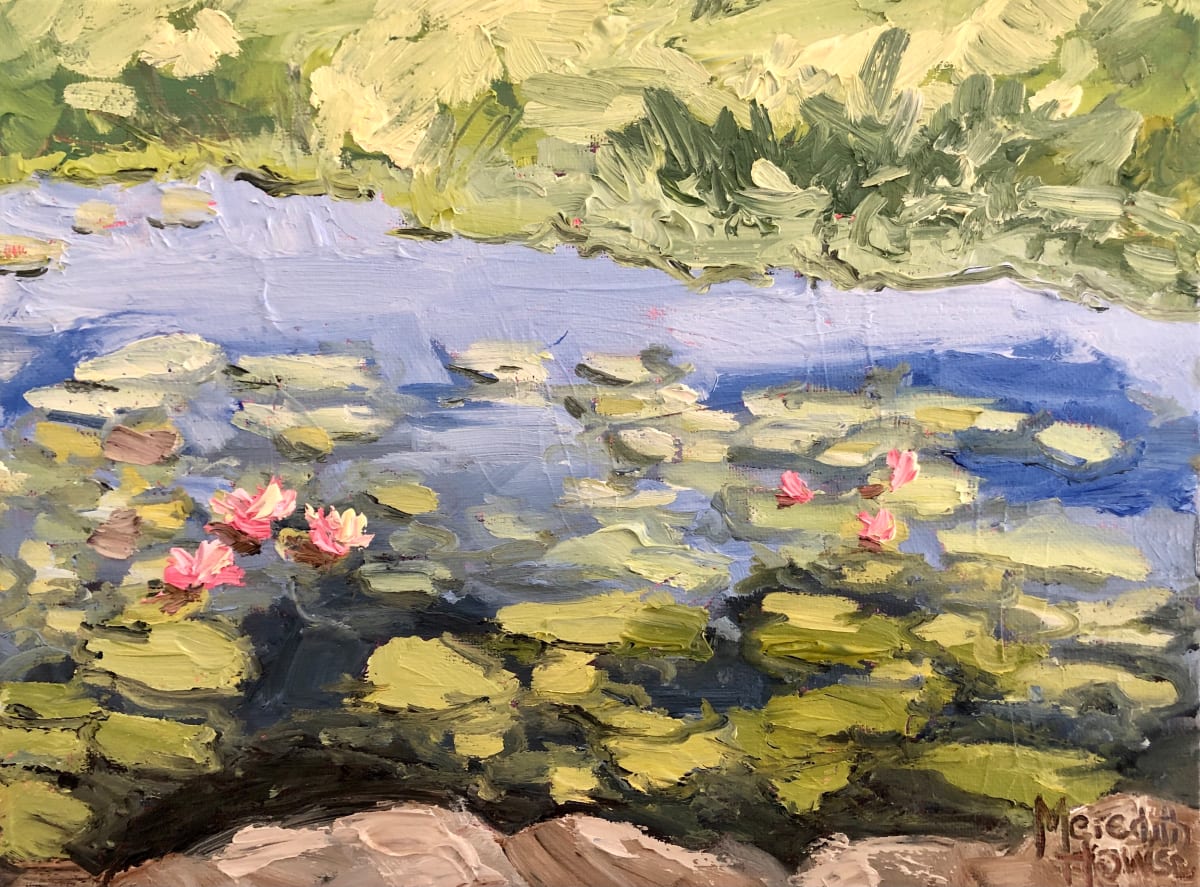 Lillies at Lambing Flats 