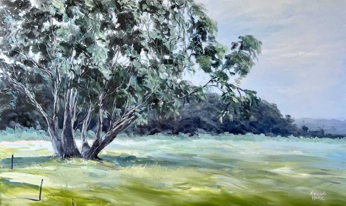 In Mid-West NSW by Meredith Howse Art 