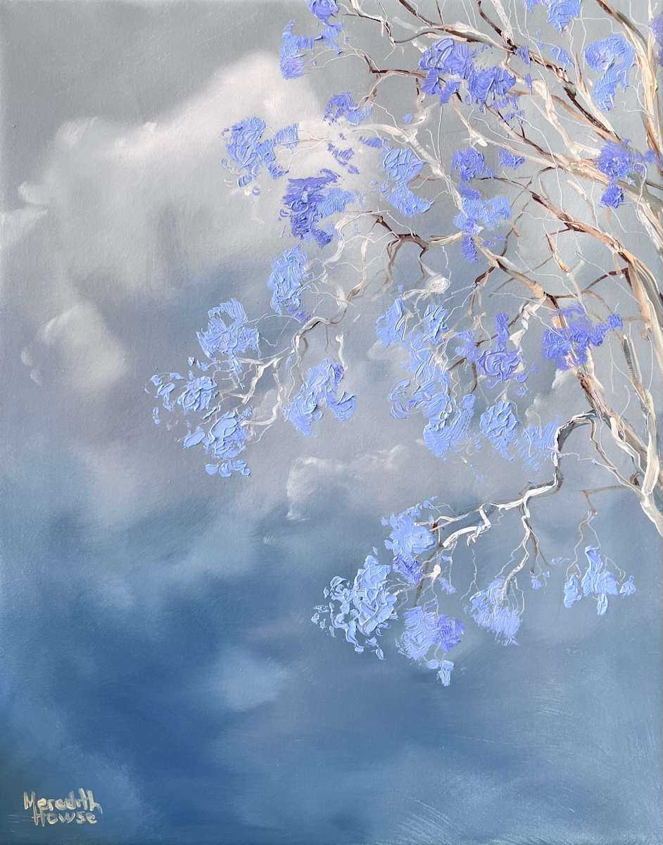 Illumination Jacaranda Ashgrove by Meredith Howse Art 