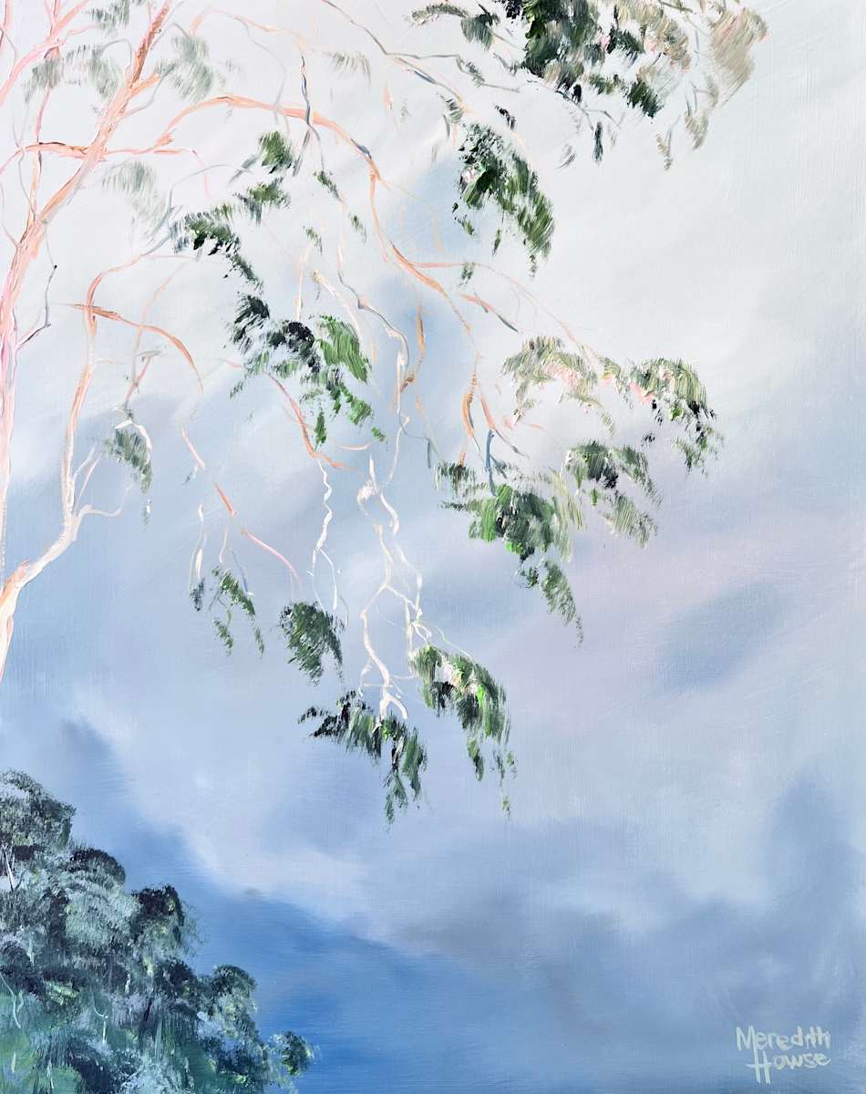 Illumination Gum Tree Sky by Meredith Howse Art 