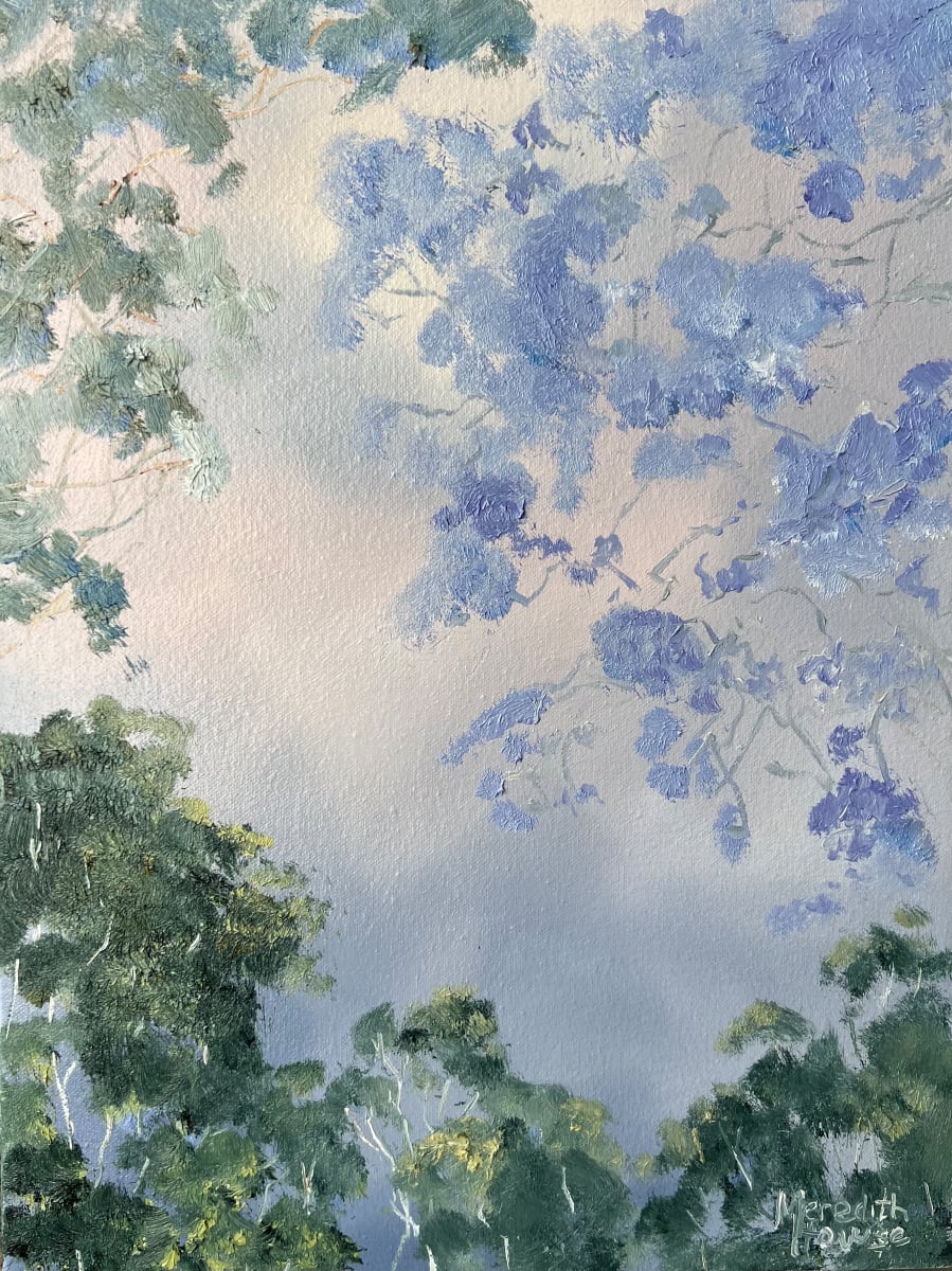 Illumination Jacaranda's Out by Meredith Howse Art 