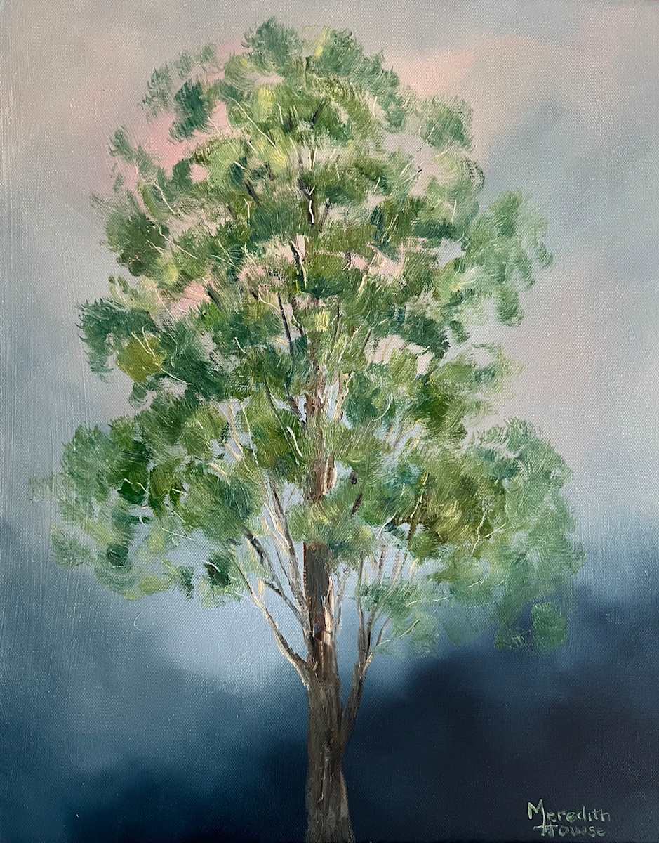 Illumination White Cypress by Meredith Howse Art 