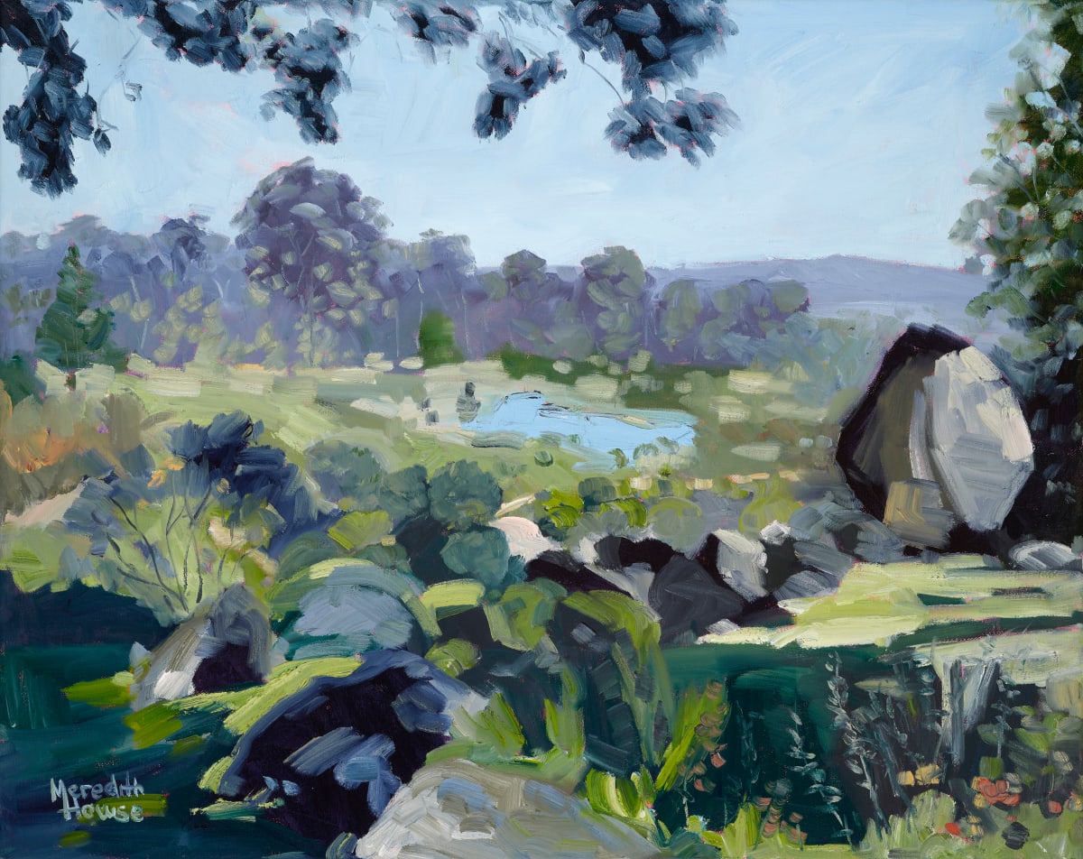Japanese Gardens at Cowra by Meredith Howse Art 