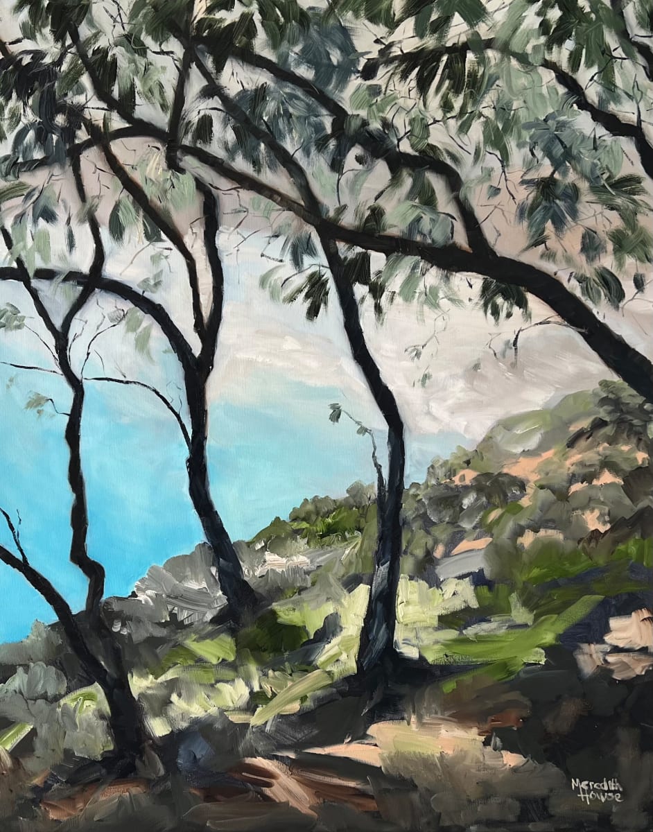 Trees of Straddie by Meredith Howse Art  Image: Main Beach at Straddie