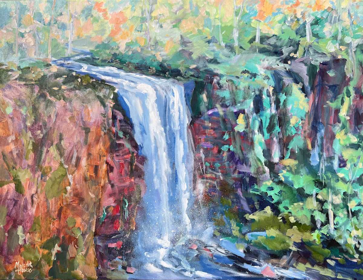 Queen Mary Falls by Meredith Howse Art 