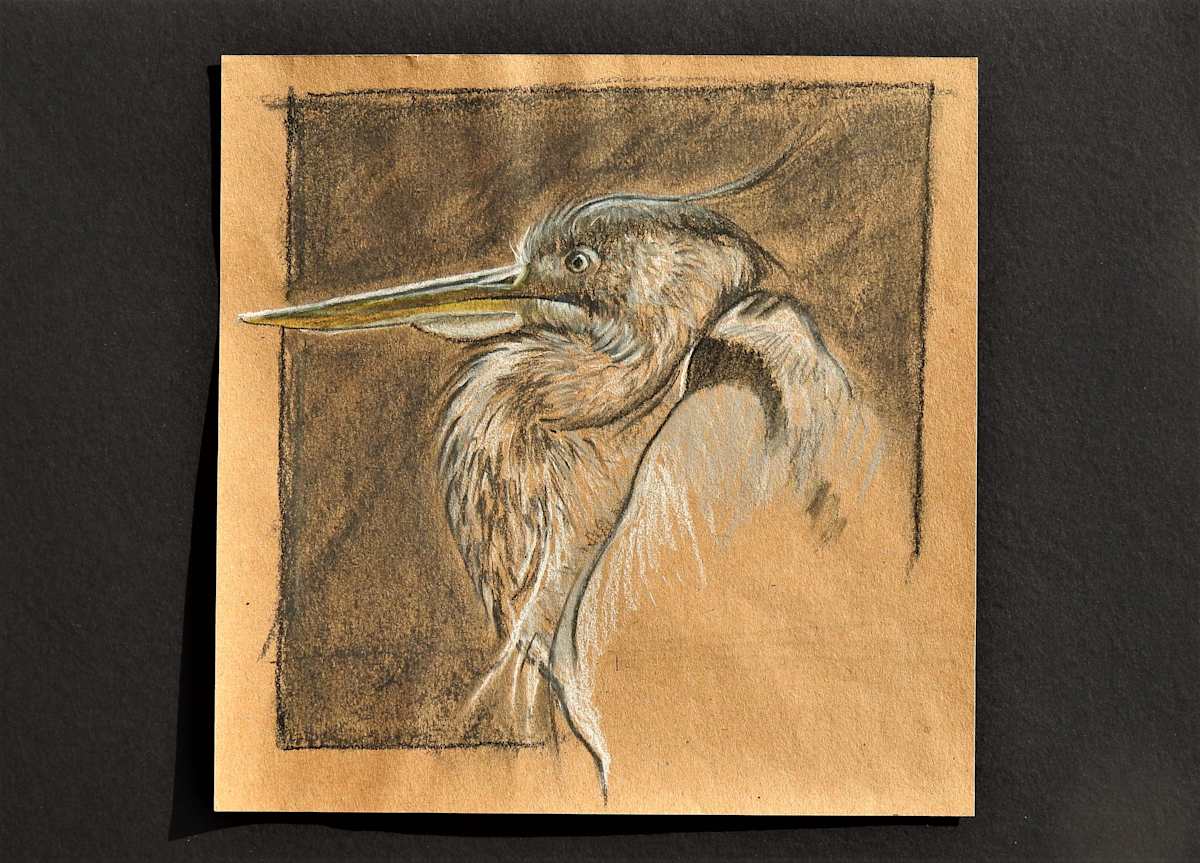 Bird by Sabina Čanić, Image 6.
