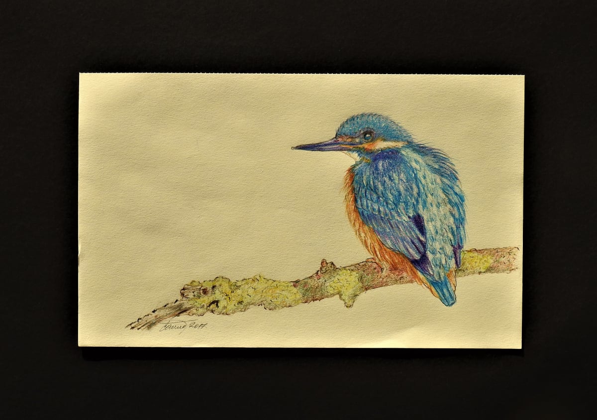 Bluebird by Sabina Čanić, Image 5.