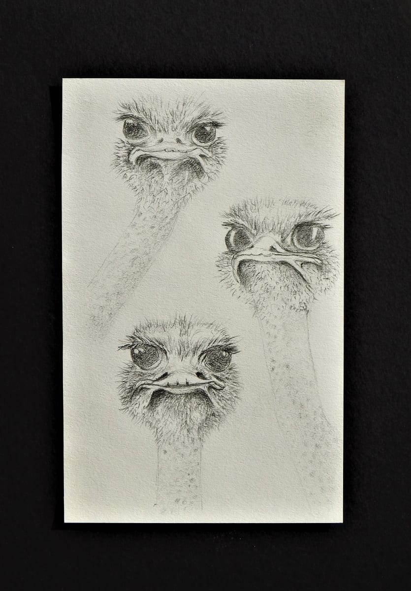 What happened by Sabina Čanić, Image 13.