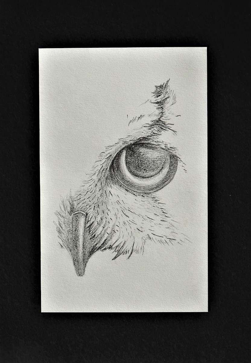 I see you by Sabina Čanić, Image 16.