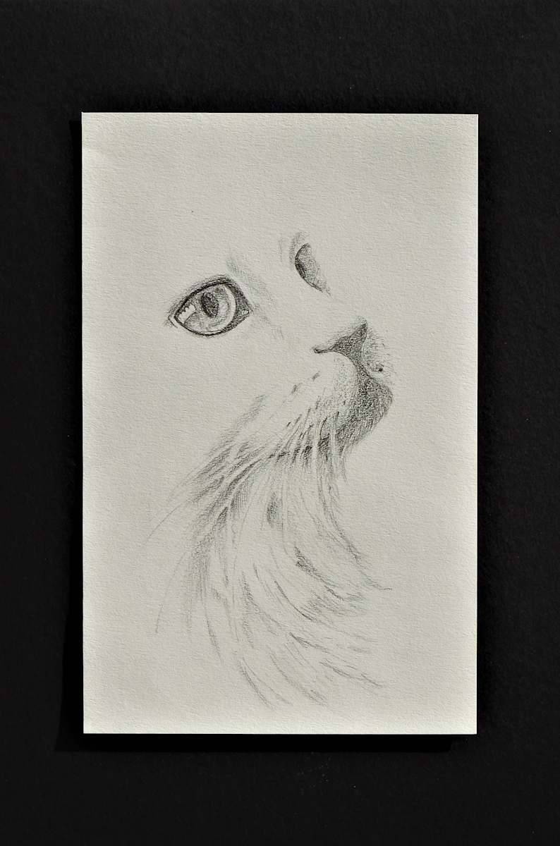 Soft White by Sabina Čanić, Image 12.