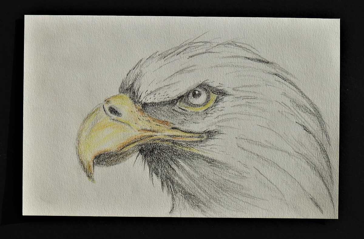 On Alert by Sabina Čanić, Image 14.