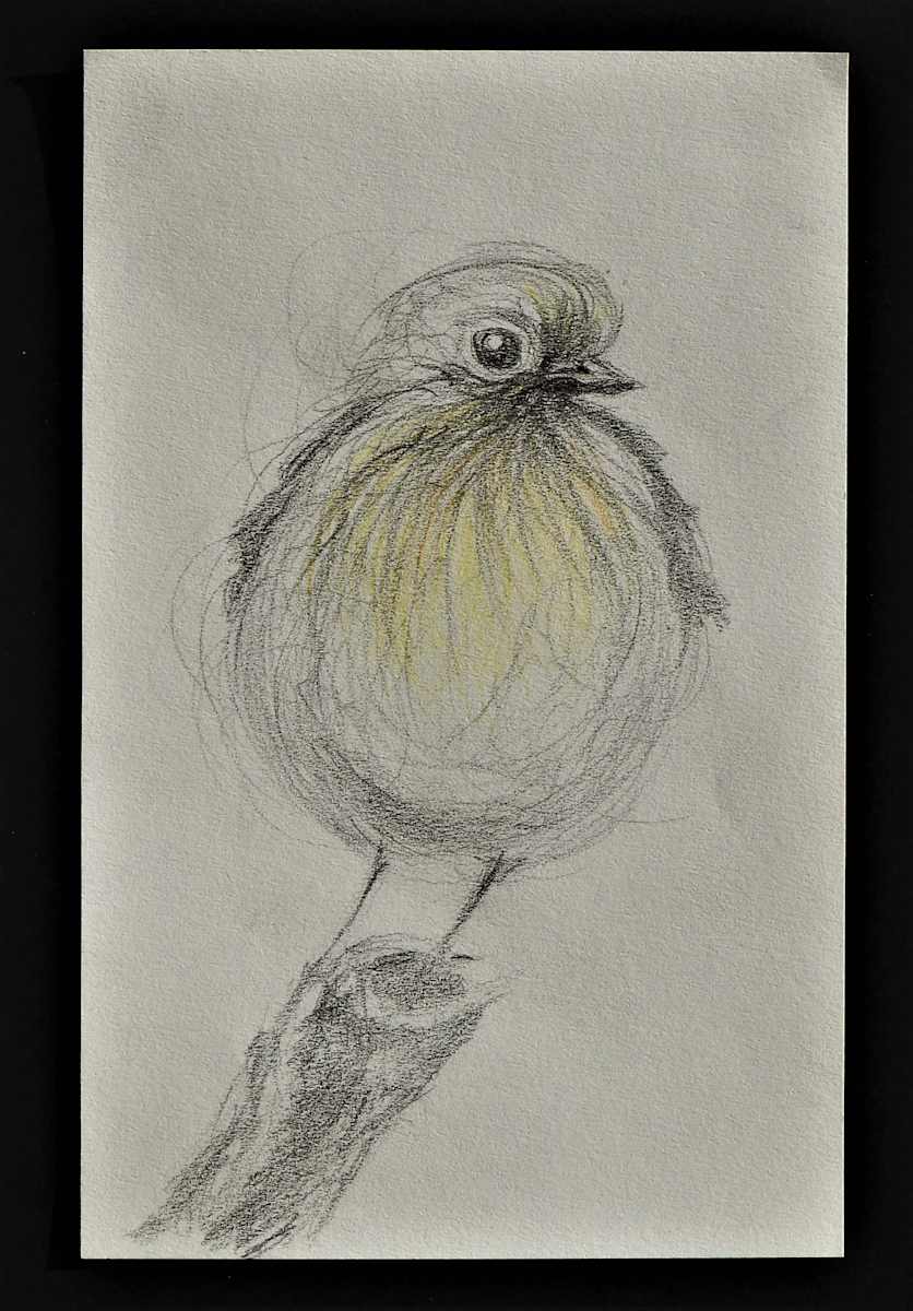 Birdie by Sabina Čanić, Image 17.