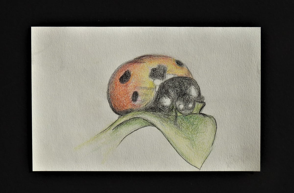 Ladybug by Sabina Čanić, Image 27.