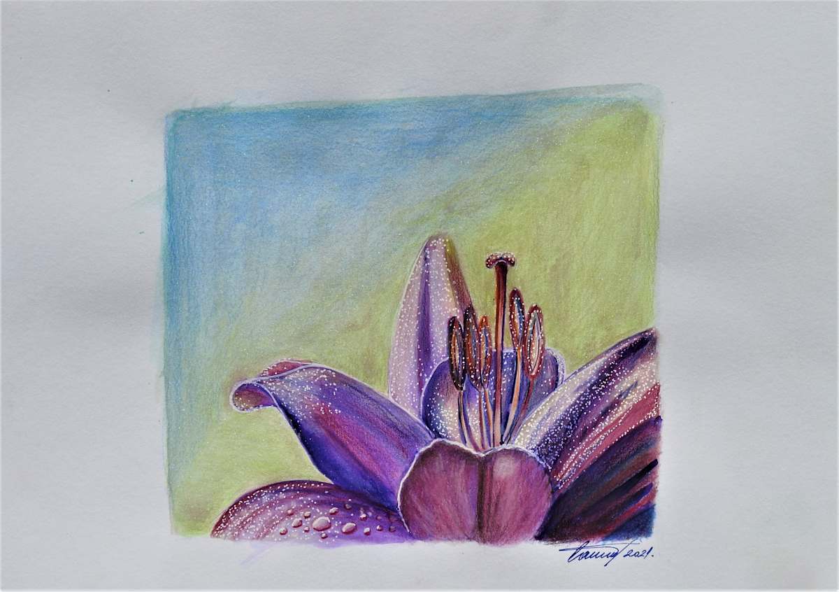 Lily by Sabina Čanić, Image 32.