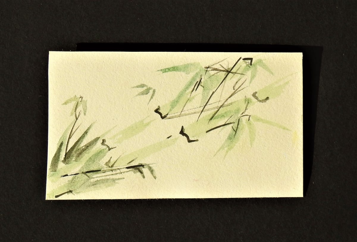 Young Bamboos by Sabina Čanić, Image 48.